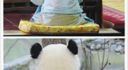 娱乐圈吃瓜群众是谁呀,娱乐圈吃瓜群众的定义与特点